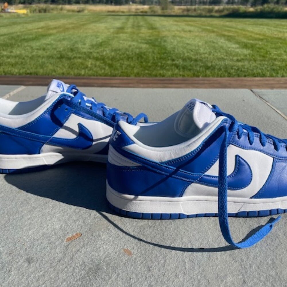 Size 11.5 Royal Blue and White Nike Dunks Never Worn Brand New